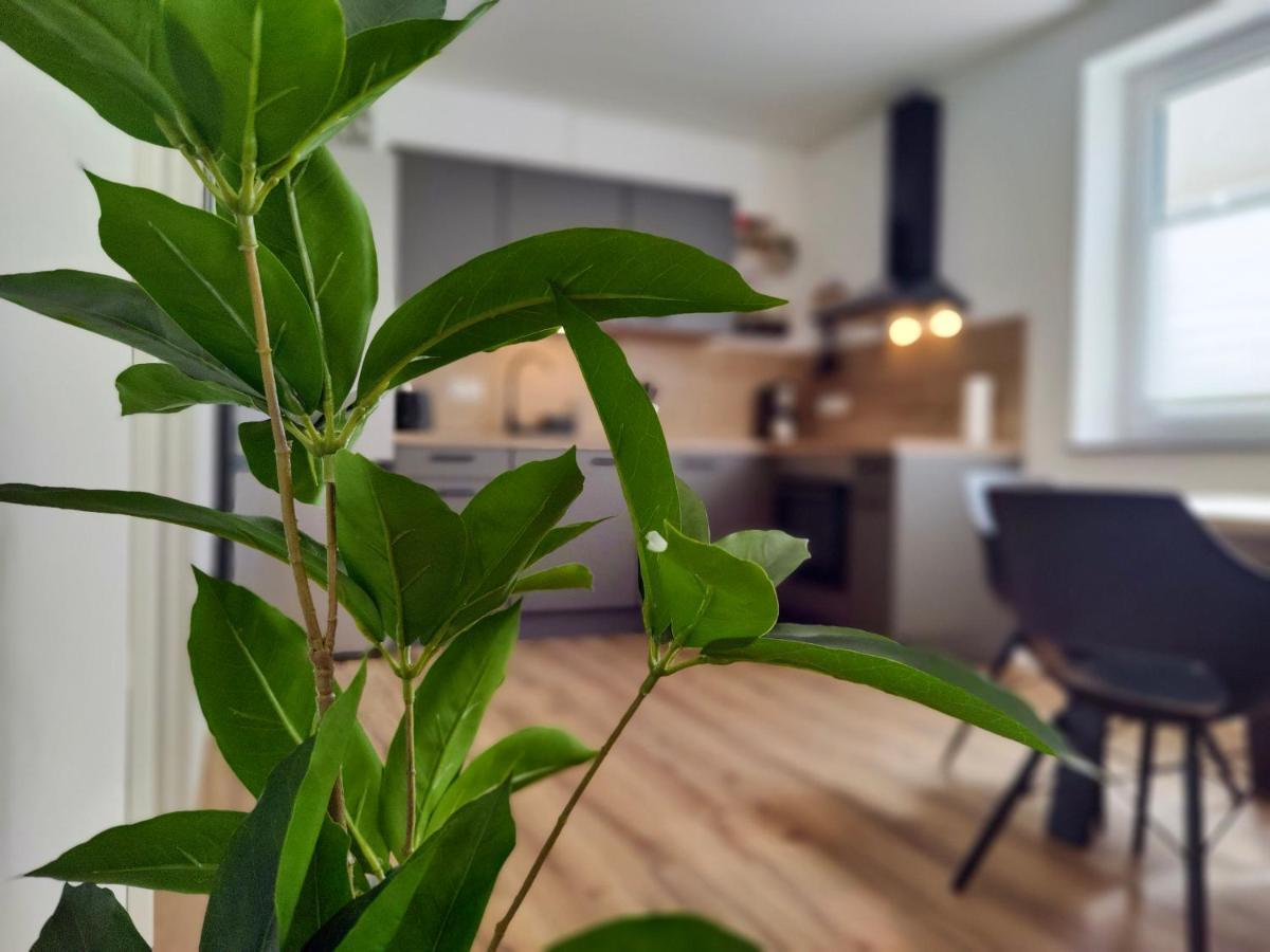 Hygge Home - Mit Garten Und Stellplatz Fuer Feriengaeste-, Monteure / Netflix / 10 Min. Zur Sinsheim Therme Und Zur Autobahn מראה חיצוני תמונה